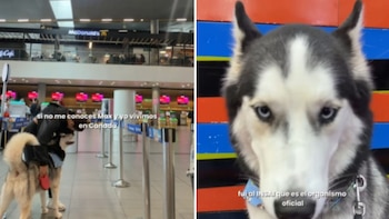 El incidente dejó varada a Sylvia Alvarez en Bogotá y la obligó a incurrir en gastos adicionales superiores a USD 1.200 para reprogramar su viaje - crédito Captura video sylviadaniella/IG