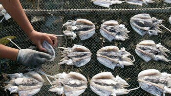 Los buques pesqueros se mueven,