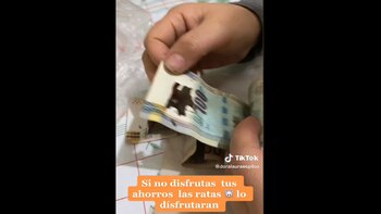 En un principio la mujer