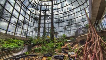 Os planos que o Jardim