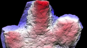 Encuentran huellas de dinosaurios poco comunes de un periodo casi desconocido
