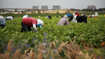 Antes de reunirse con Biden,