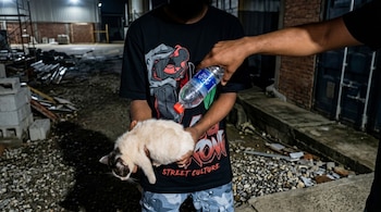 Conmoción y condena generalizada impulsan respuestas inmediatas desde organismos especializados que buscan fortalecer la justicia y proteger a víctimas vulnerables en entornos urbanos (Imagen restaurada con IA)