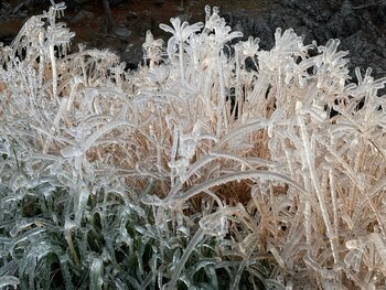 Fotos enviadas por Joaquín Martínez,