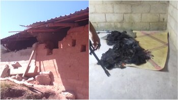 Foto: Centro Minerva Bello