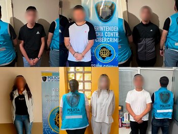 El cerebro de la organización