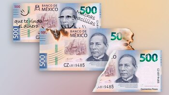 Existen algunas características de ejemplares