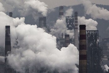 HEBEI, CHINA - NOVEMBER 19: