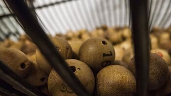 Los pasos para jugar Eurojackpot