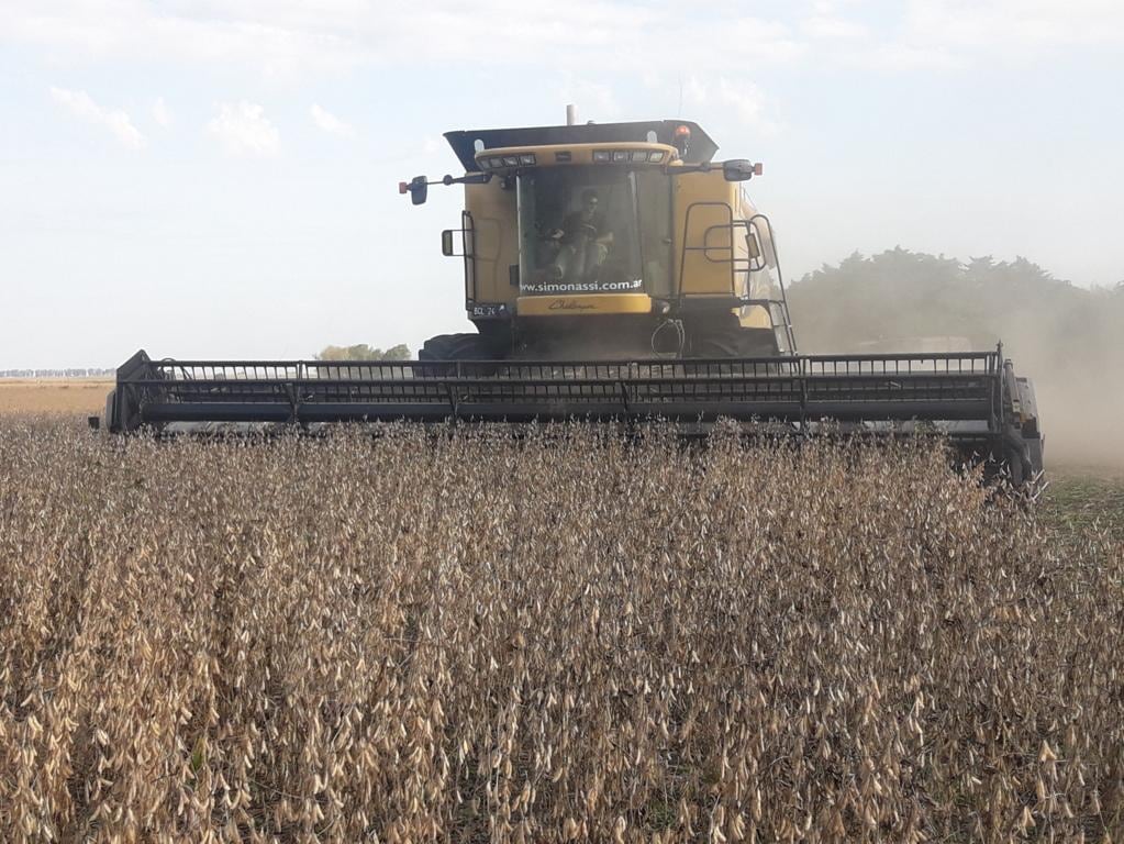 La franja central de la región núcleo fue la más afectada por la falta de lluvias, con registros muy por debajo del promedio histórico durante enero. (Revista Chacra)