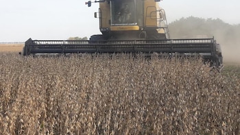 En enero llovió 66% menos