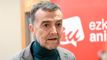 Maíllo (IU) ve "fundamental" la