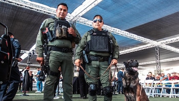 Tijuana Segura contempla la integración