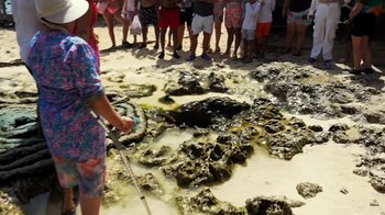 El testimonio de residentes y