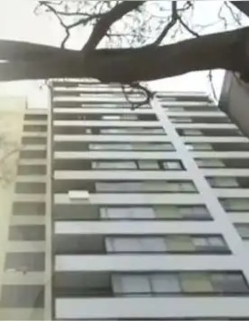 Deysi Araujo denuncia restricciones tras recibir carta notarial en el edificio donde vive. Infobae Perú / Captura: IG.