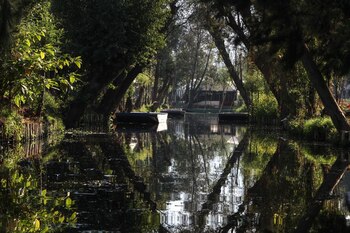 Una víbora fue rescatada por