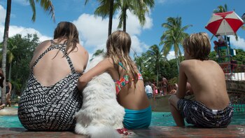 Modelos familiares diversos ganan reconocimiento