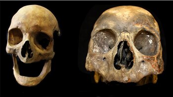 Restos de consumidores de tabaco