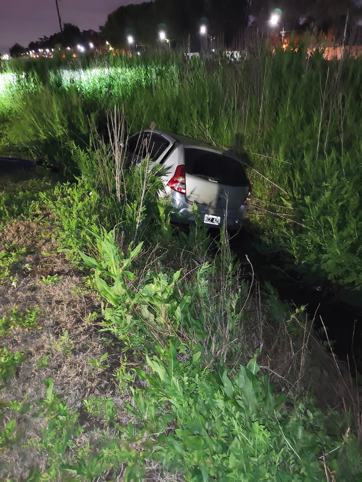 El Renault Sandero que conducía Ortiz cayó a una zanja en Villa La Ñata, partido de Tigre