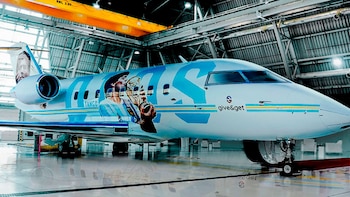 Los hinchas podrán visitar en