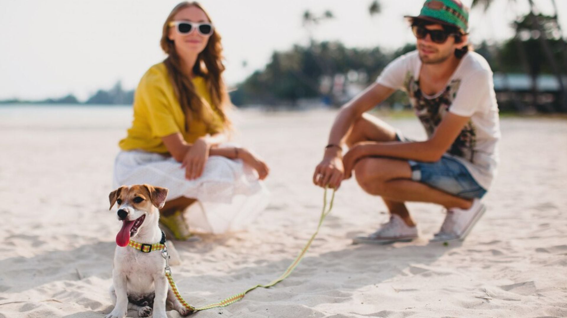 Cerrar ventanas, poner música y limitar el acceso al exterior son medidas prácticas para reducir la ansiedad por ruidos (Freepik)