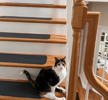 Gracias al amor de su