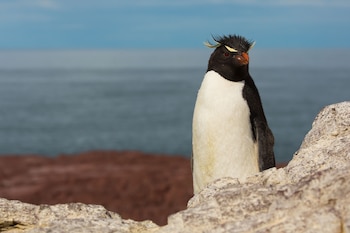 (Foto: Subsecretaría de Turismo de