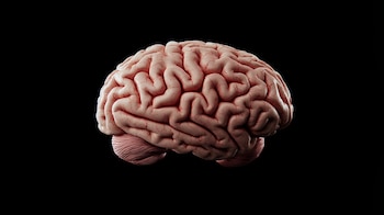 (Imagen Ilustrativa Infobae)