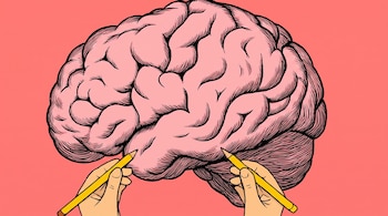 Ilustración de un cerebro rosado con contornos negros. Dos manos de tono piel claro sostienen lápices amarillos apuntando al cerebro. Fondo coral.