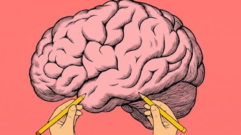 ¿Por qué hay personas zurdas? El verdadero efecto de usar la mano izquierda en tu cerebro
