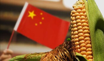 El gigante asiático está generando