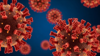 Detectan aumento de variante de COVID-19 en EEUU con presencia confirmada en más de 25 estados