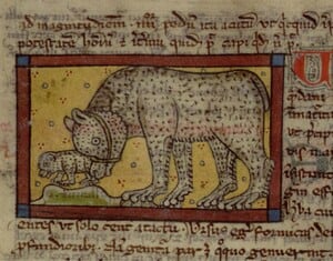 Una investigación de la Universidad de Cardiff y la Universidad de Nottingham concluyó que las peleas de osos con perros ya eran un entretenimiento establecido en Inglaterra durante el siglo XII (Gentileza, estudio Los orígenes de las peleas de osos: evidencia de la Inglaterra y Francia medievales, publicado en Society & Animals)