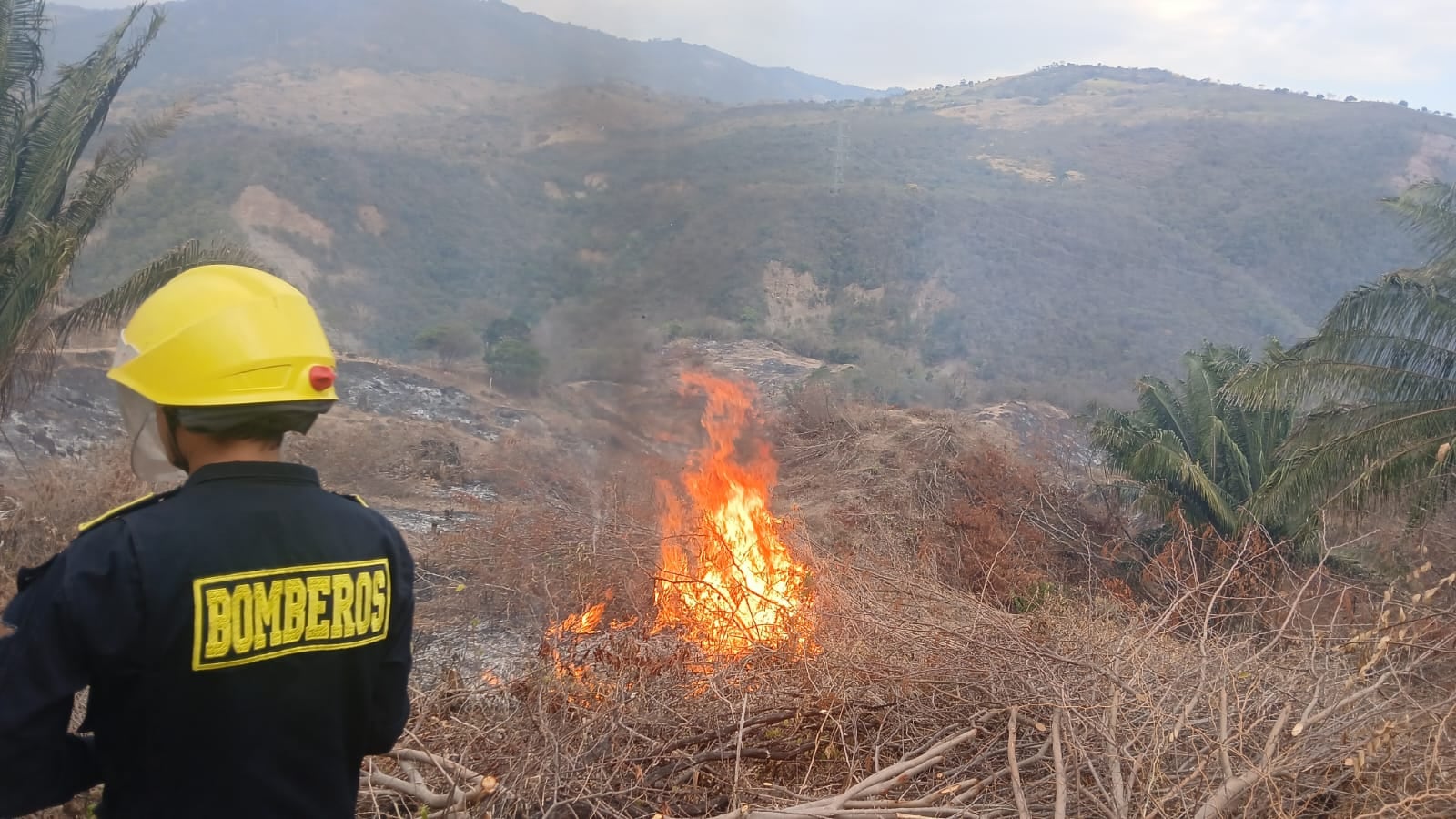 Cundinamarca dispone de 84 cuerpos de bomberos activos, 123 vehículos y 2.901 voluntarios para la atención de incendios forestales y emergencias - crédito Bomberos Cundianamarca