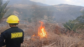 Cundinamarca dispone de 84 cuerpos de bomberos activos, 123 vehículos y 2.901 voluntarios para la atención de incendios forestales y emergencias - crédito Bomberos Cundianamarca