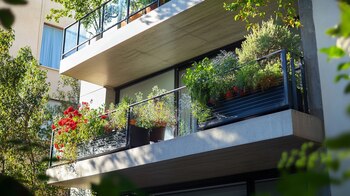 El juzgado consideró que el