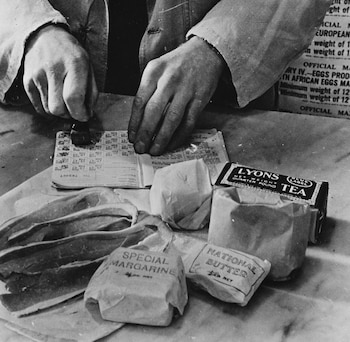 La transformación de la alimentación