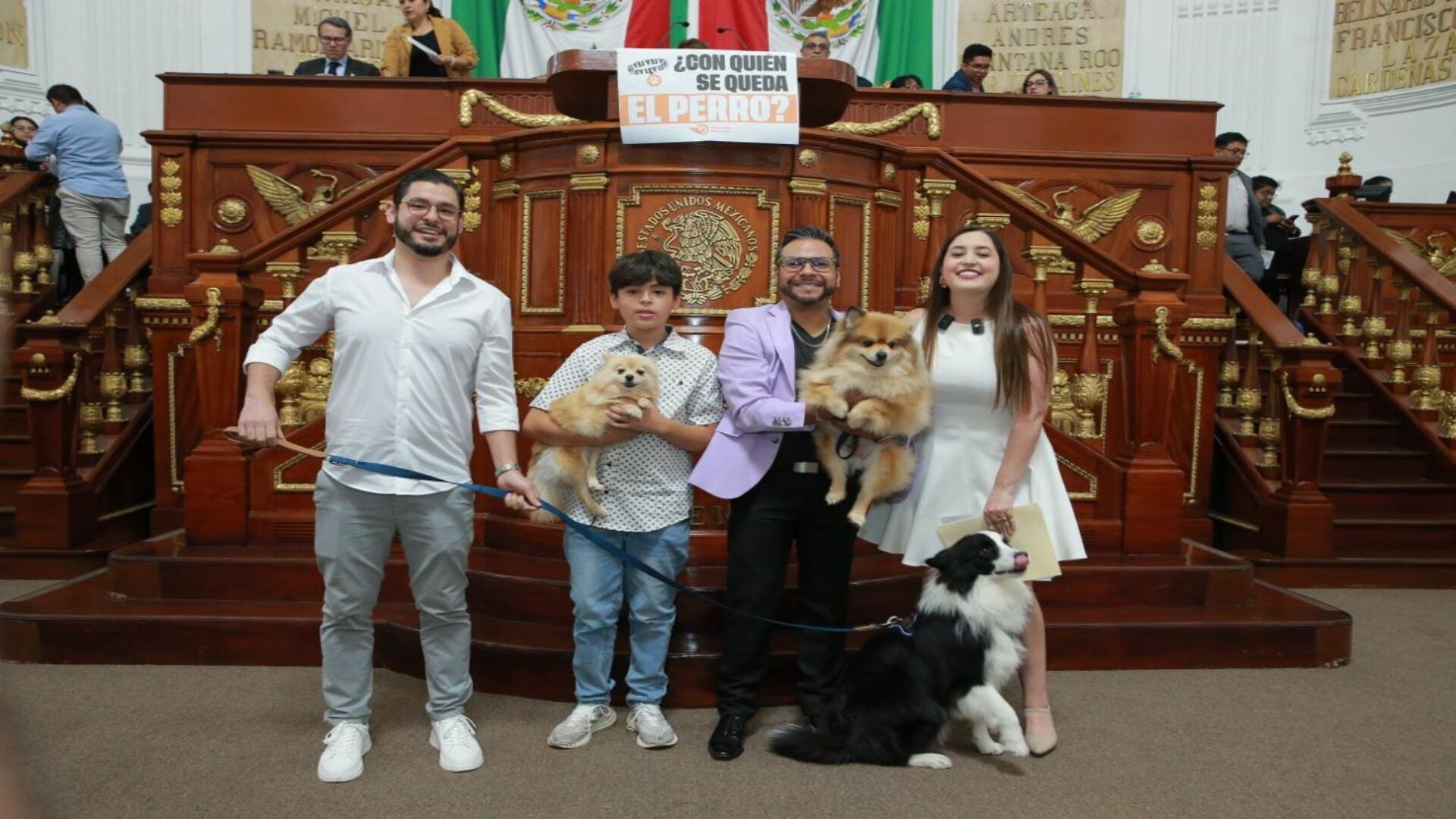 Nuevo León reconoce a las mascotas como parte de la familia en procesos de divorcio