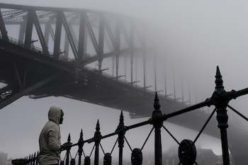 Los científicos están descubriendo que