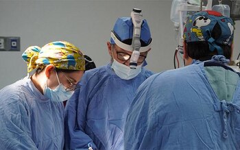 Fue posible procurar dos riñones,