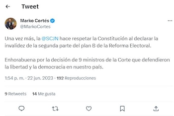 El dirigente nacional del PAN