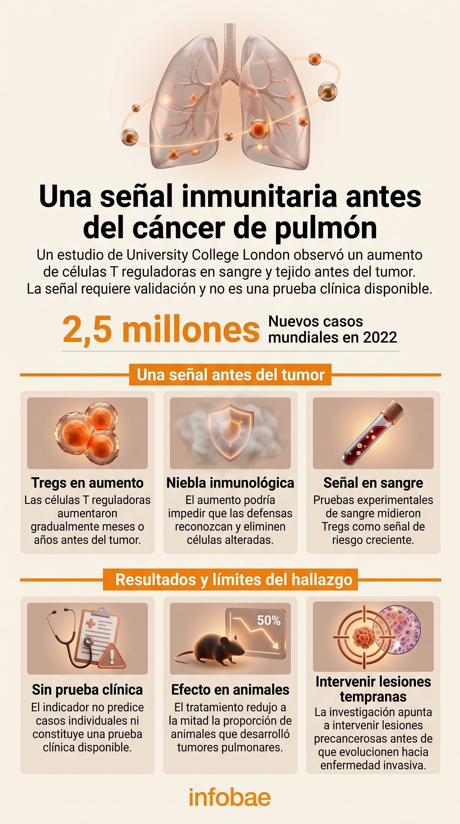 El incremento de las células T reguladoras reduce la capacidad del sistema inmunitario para identificar células alteradas (Imagen Ilustrativa Infobae)
