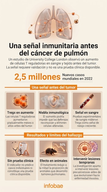 Infografía con la ilustración de unos pulmones, texto de un estudio médico, una cifra global y seis recuadros informativos con iconos.