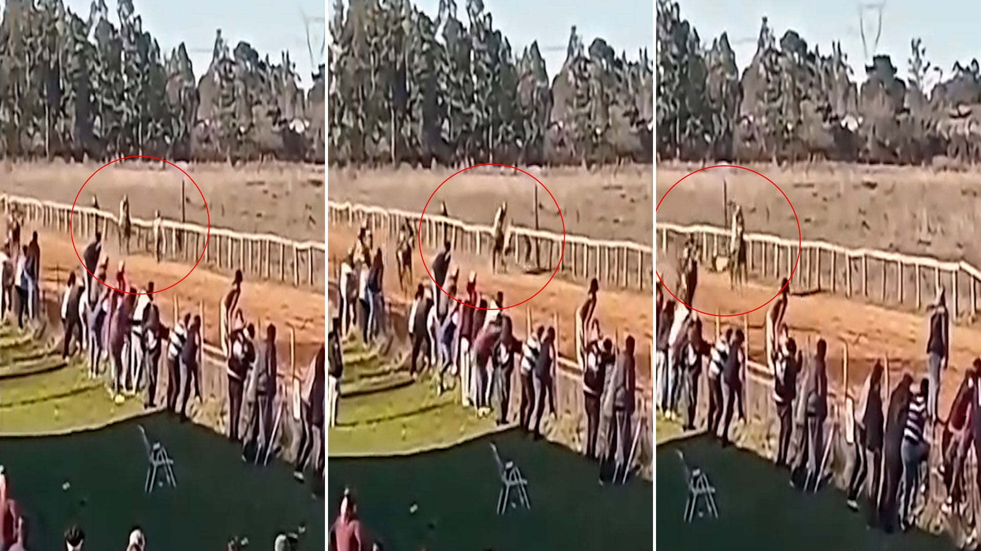 La carrera de turf en Entre Ríos enfrentó a cuatro potrillos y “Maníaco” se mantuvo al frente desde la largada hasta cruzar la meta