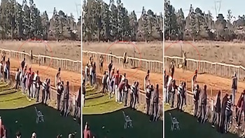 Entró a la pista de un hipódromo a festejar el triunfo de su caballo, fue atropellado por otro y terminó internado