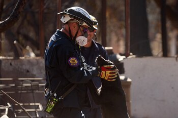 Expertos destacan el rol de