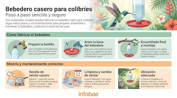 Infografía con ilustraciones que muestran cómo hacer un bebedero para colibríes, la receta del néctar, su limpieza y dónde colocarlo.