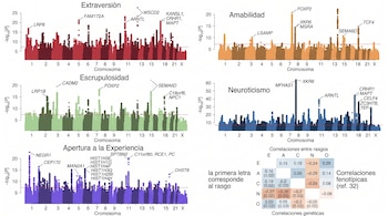 Cinco gráficos manhattan de colores con picos genéticos marcados por cromosoma y una tabla de correlaciones entre rasgos de personalidad.