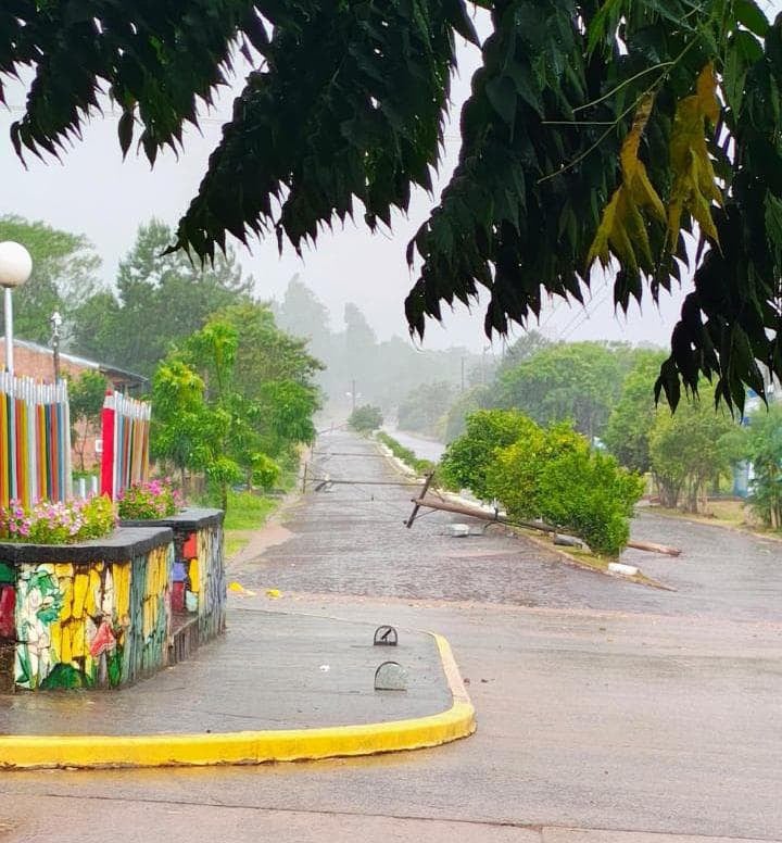 Árboles y postes de luz caídos (Foto: @Limiteinforma)
