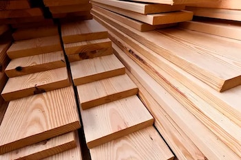 Las nuevas plantaciones priorizan especies